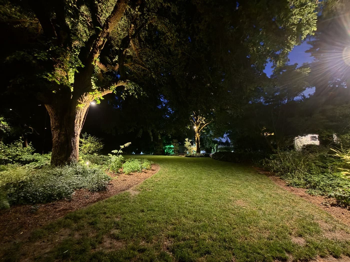 Landscape lighting at dusk, uplights washing a mature tree above a lit lawn and path