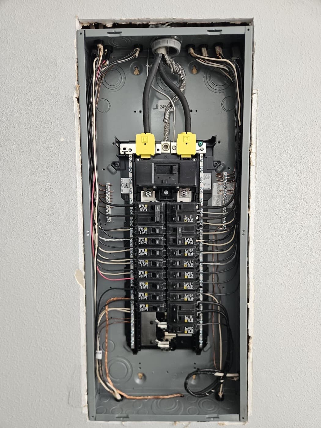Electrical panel upgrade with the dead front removed, branch circuits combed and landed on labelled breakers
