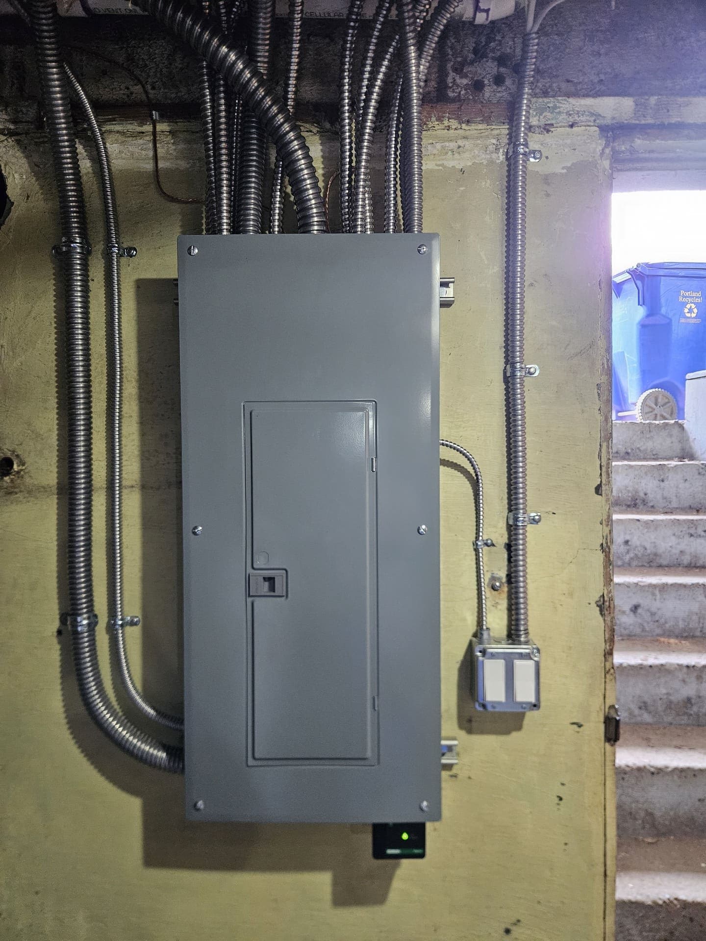 A new panel set on a basement wall with the flexible conduits fanned in overhead and dressed down both sides