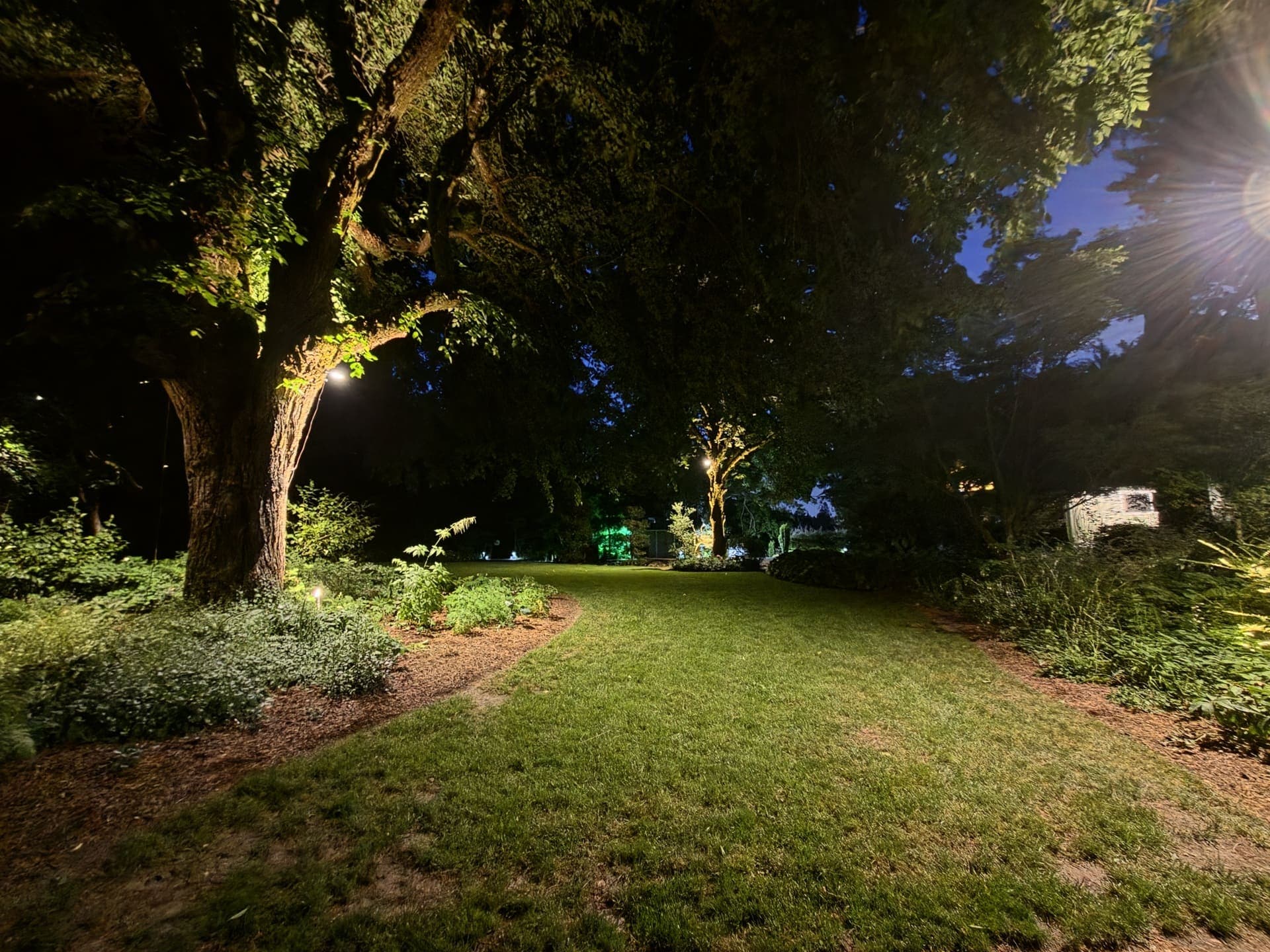 A path and mature planting lit from the ground by landscape uplights after dark